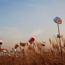 난지천4(놀이터) 이미지