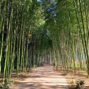 섬진주유소 이미지