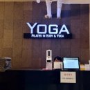 비트 앤 건강요가 | 둔산동 요가 필라테스인바디앤요가 폼롤러 수업 후기