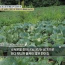 김경진농장 이미지