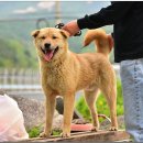 황토마실 이미지