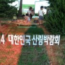 화천살림
