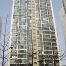 정관장홍삼 산본시장점 이미지