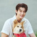 털뭉치들 이미지