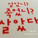 제미 이미지