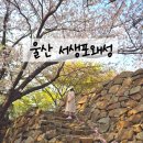 서생포왜성주차장 | 울산 서생포 왜성 인생샷 가능한 벚꽃명소