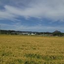 (주)율곡관광