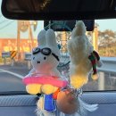 누운섶제주 네이버블로그