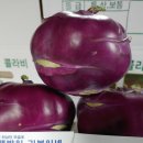 기봉이 농장 네이버블로그