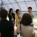 방문농장 이미지