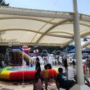 장사해수욕장(솔밭) 이미지