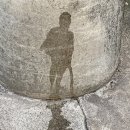 망토 두른 강아지 이미지