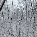 임도 입구(오지재고개 정상) | 漢北正脈) 제4구간 [노채고개~원통산(인증)~운악산(명산 100인증)~47번국도] 등산 후기(2025. 12. 14.)