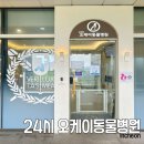 오케이동물병원 이미지