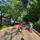 앞산어린이공원 놀이터 이미지