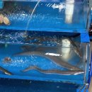 율포회센터 이미지