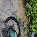 세차하기좋은날 이미지