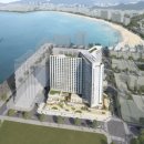 더모스트 동아일보