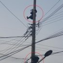 연풍1리 이미지