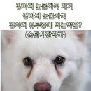 송탄시장약국 이미지