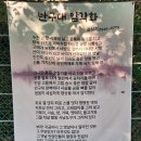 울주 대곡리 반구대 암각화 이미지