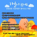 임영순농장 Daum카페