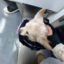 서울플러스 종합 동물병원 이미지