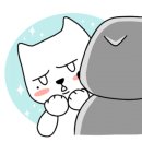 에스티앤비 이미지