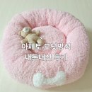 노견도 잘 쓰는, 아페토 도넛방석 내돈내산 사용 후기(10년째 재구매)