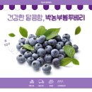 박농부디자인 - 달서구 상원로15길 62 | 박농부디자인