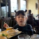 개. 이쁜날 이미지