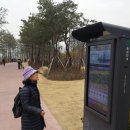 진양무역