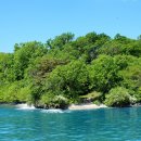 예향의 숲 이미지