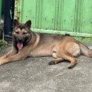 재왕 농장 이미지