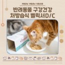 반려동물 구강 건강에 도움이 되는 처방 사료 벨릭서 D/C 습식