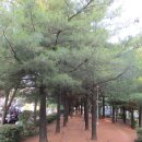 부천둘레길3코스 이미지