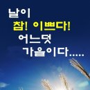 너참이쁘다