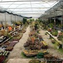 세정농원 이미지