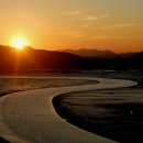 순천만습지 이미지