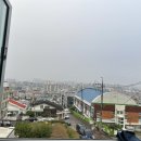 쿠킹마일즈 네이버블로그