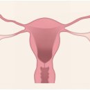 제이엘산부인과의원 네이버블로그