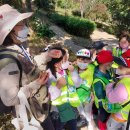 아미산자생식물원 이미지