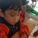 화룡농장 이미지