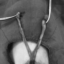 용인도담동물병원 이미지