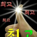 강남제비 이미지