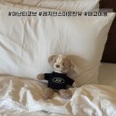 마운틴308 | [기념일·태교여행 추천] 아난티 코브 레지던스 마운틴 B 솔직후기(feat. 임신10주차 여행기)