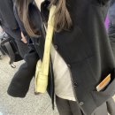 보테가비너스