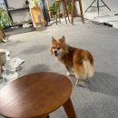 도담프린팅 | [서울/마포] 망원 오래도록 사진관 / 프로필 후기