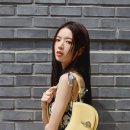 노정의 카카오 검색결과