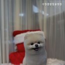 수원종합동물병원 이미지